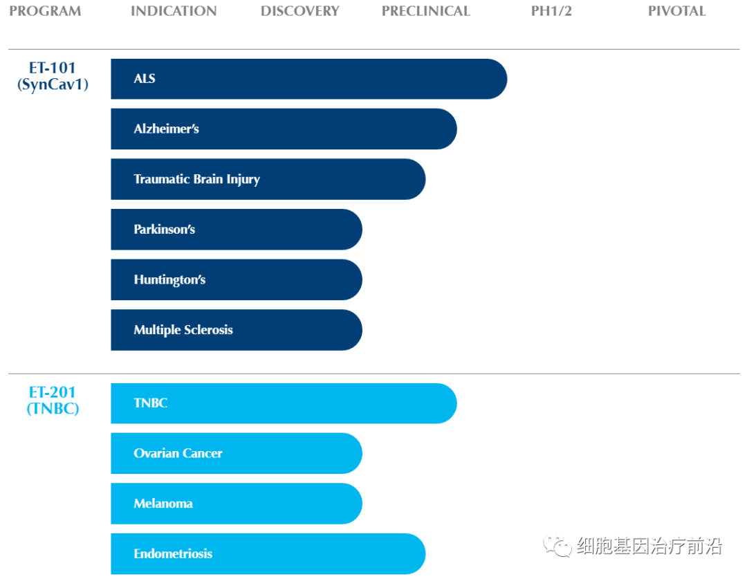 Eikonoklastes基因疗法获得孤儿药认定，有望治疗渐冻症